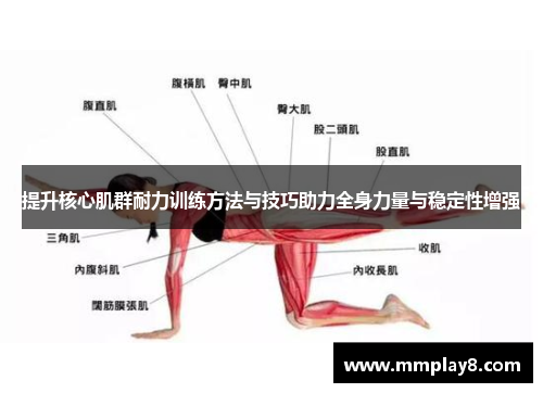 提升核心肌群耐力训练方法与技巧助力全身力量与稳定性增强
